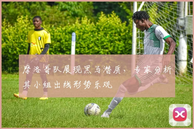 摩洛哥队展现黑马潜质，专家分析其小组出线形势乐观